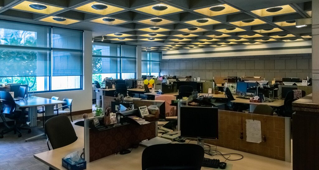 IT company GrapeCity, Novosibirsk, photo