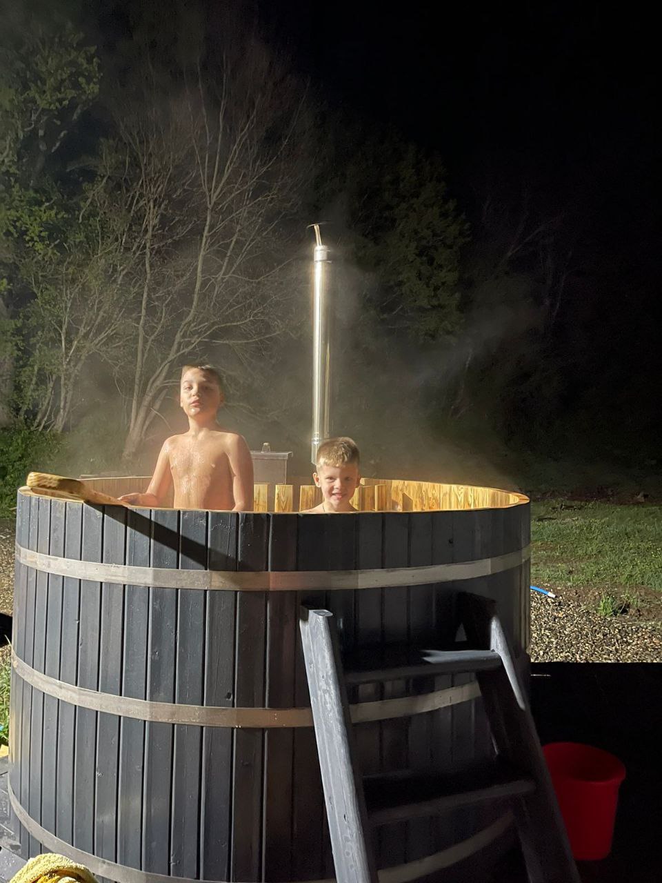 Фото Павлония