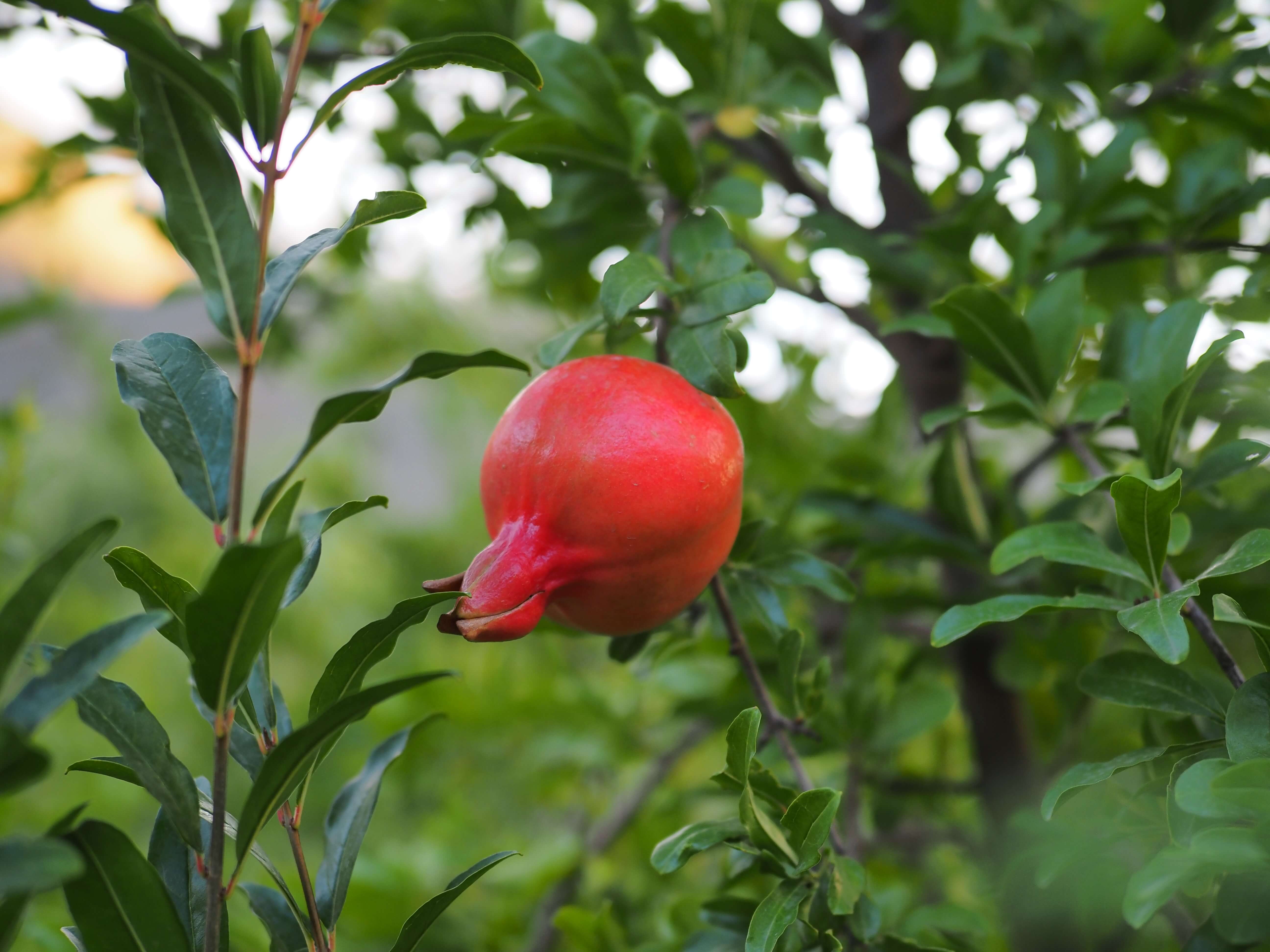 Фото Дом возле реки