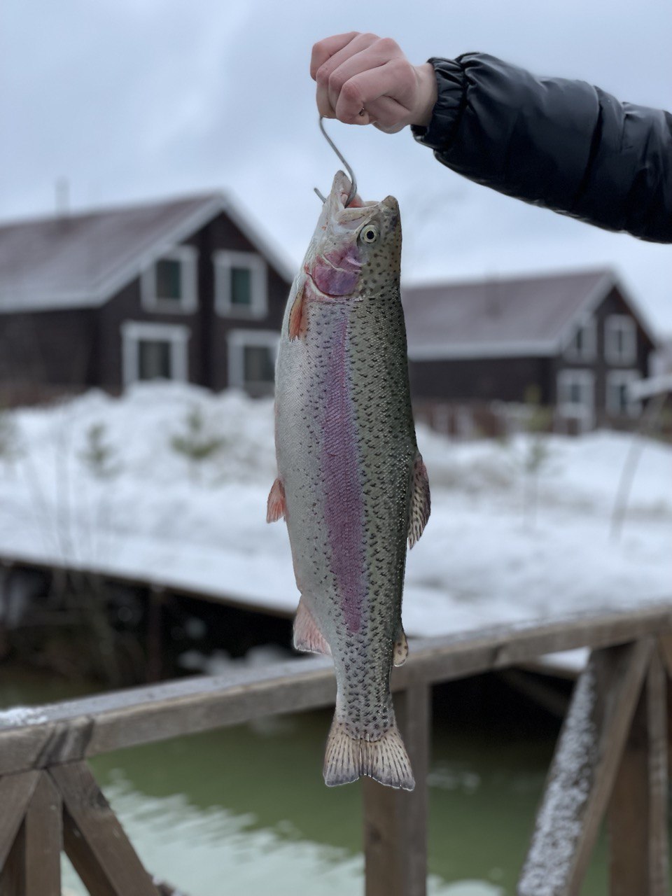 Фото Бабин Двор