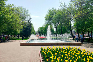 сквер имени В.С. Петрова (Tambov, skver imeni V.S. Petrova), park