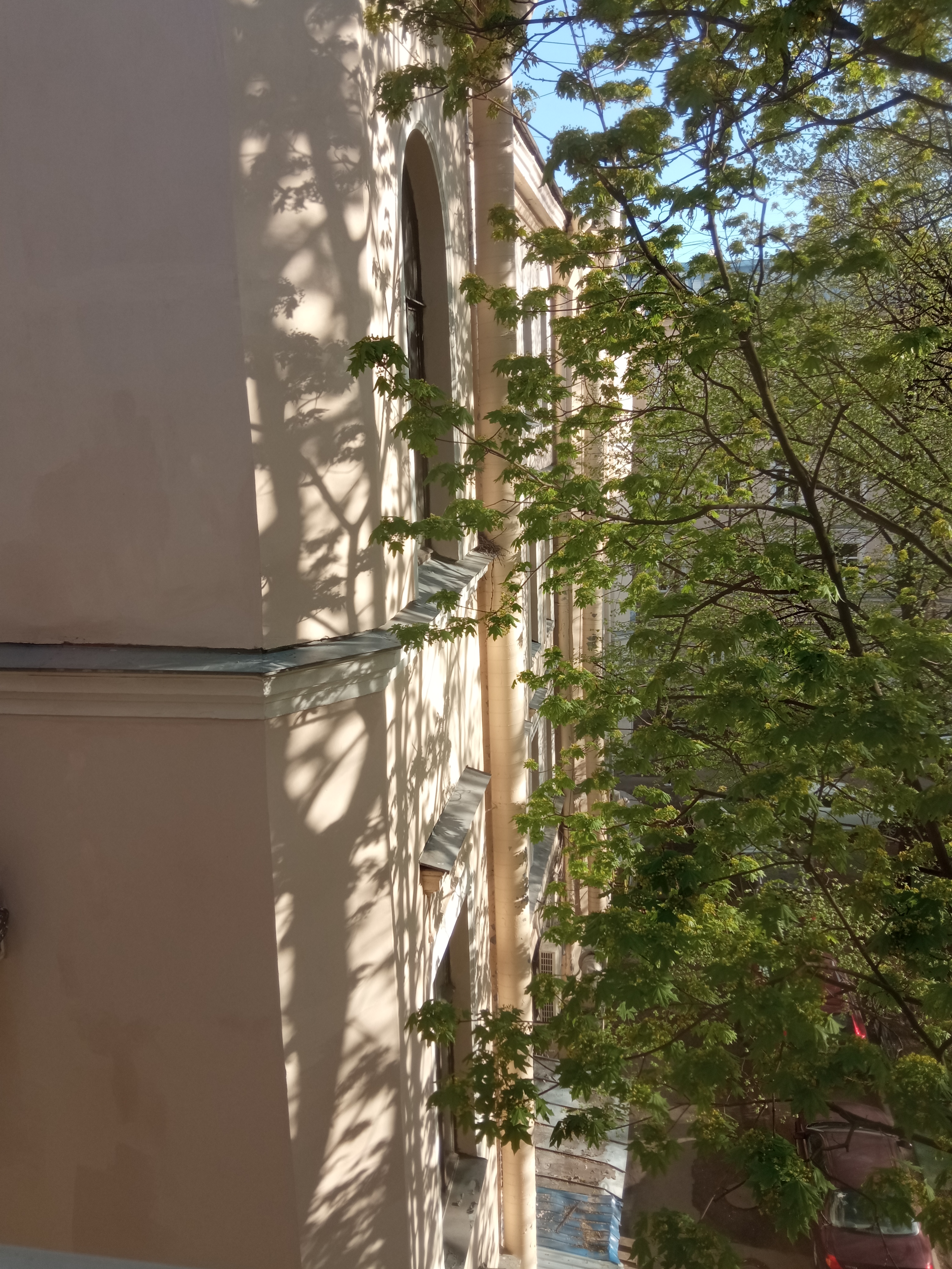 Фото Cuba Coliving