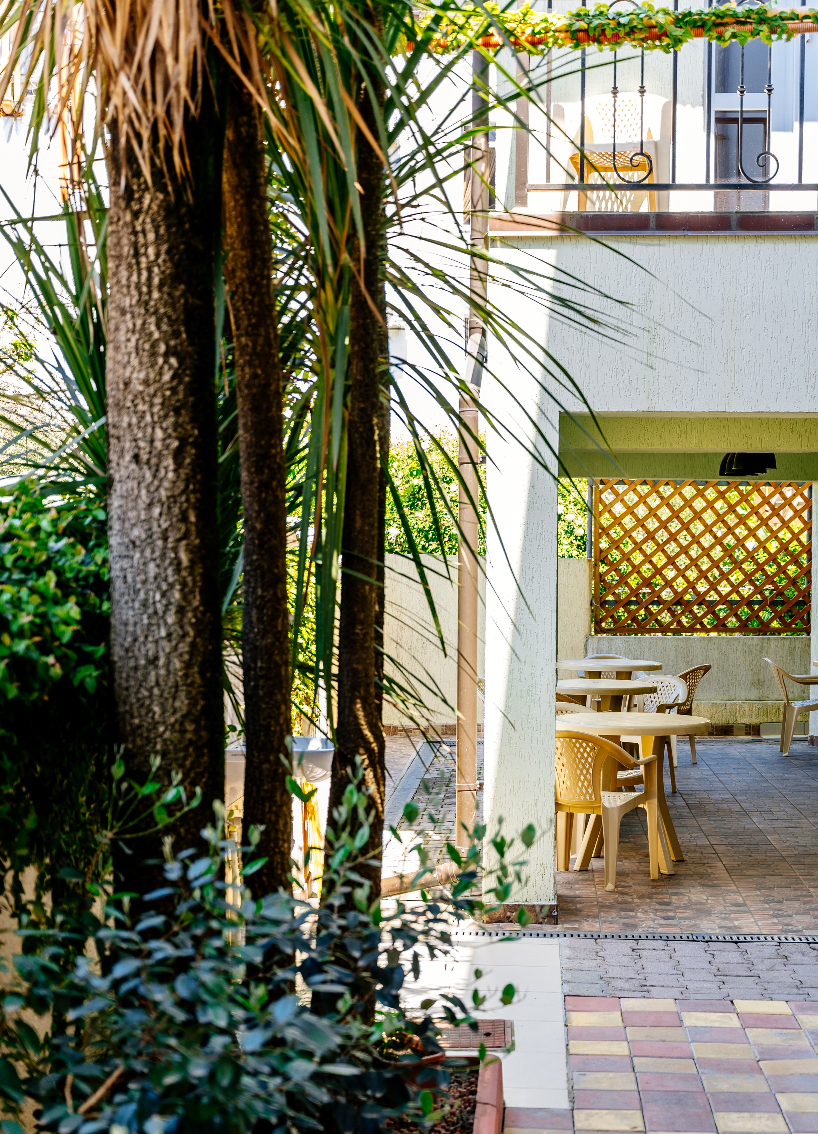 Фото Талассо