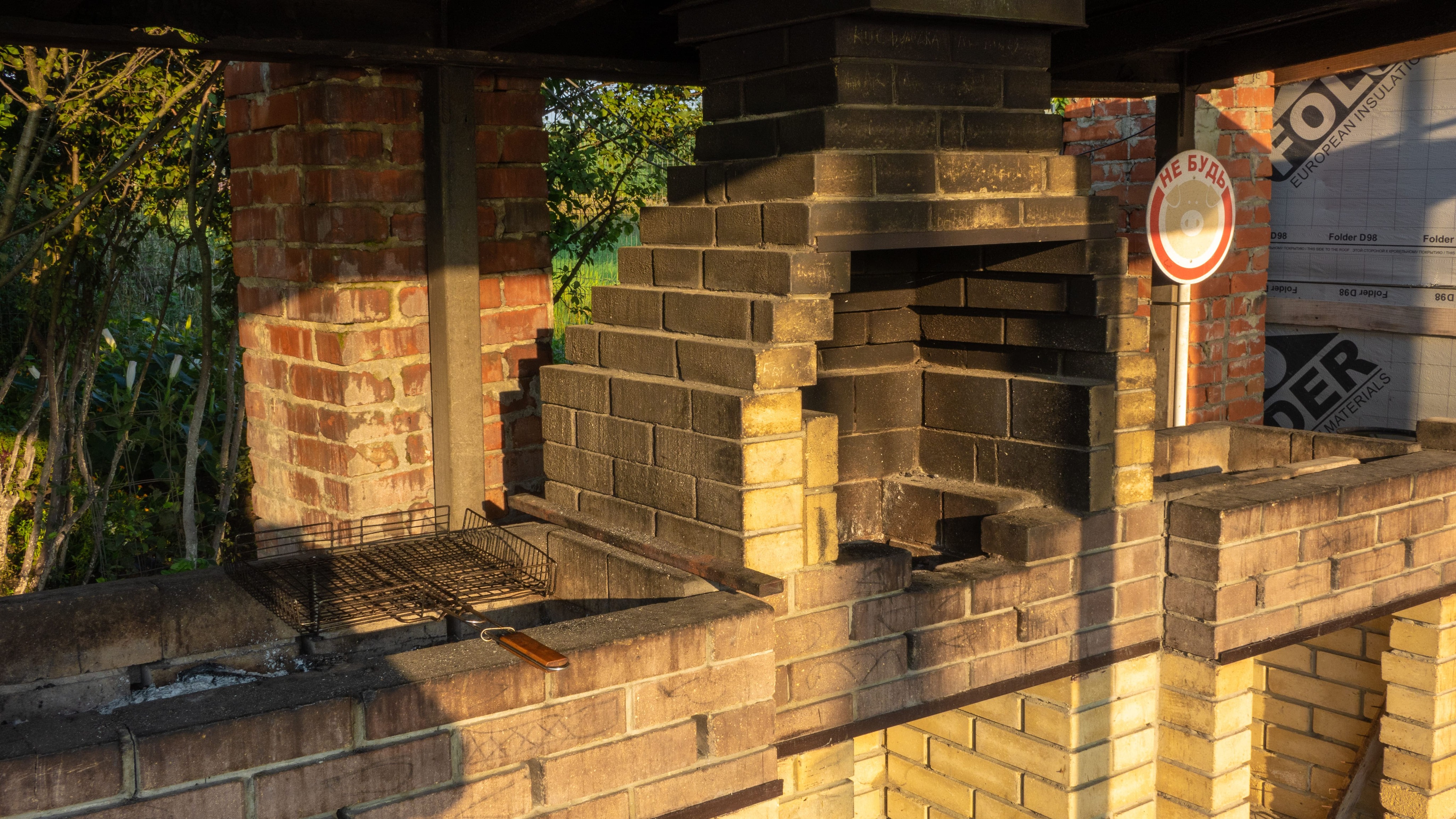 Фото Золотая рыбка