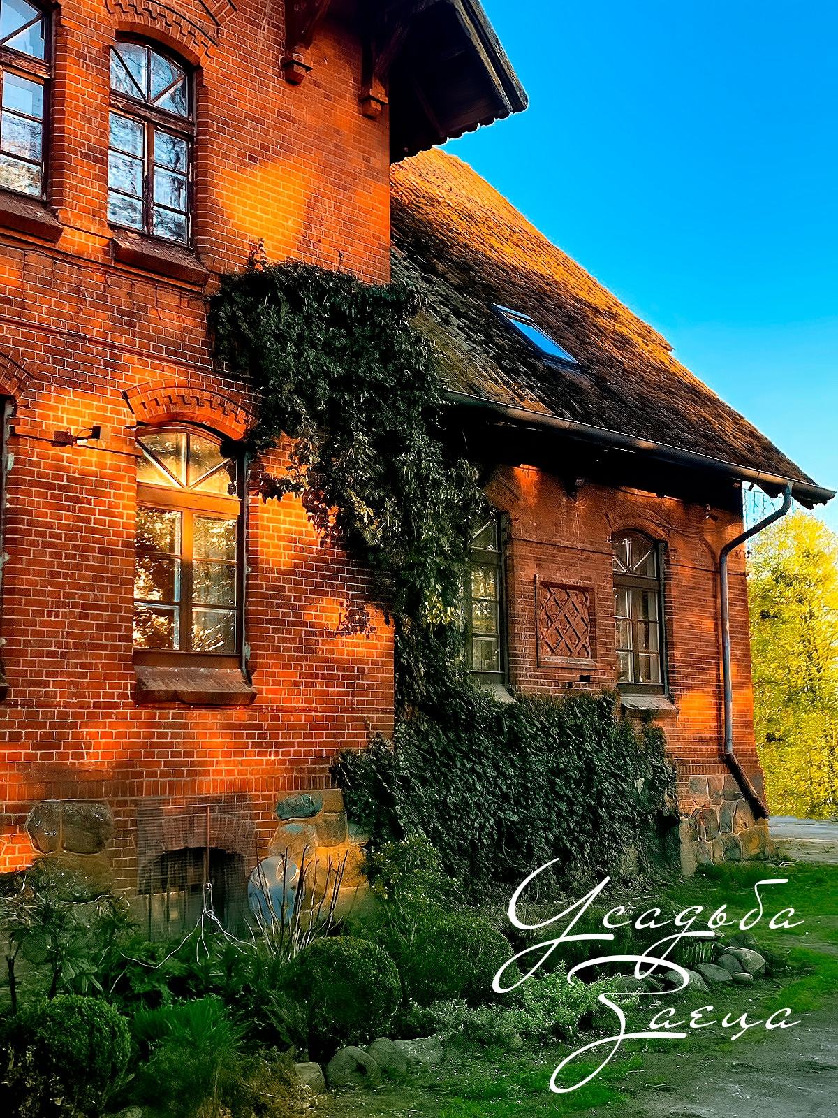 Фото Усадьба Заеца