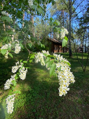 Лукоморье фото 8