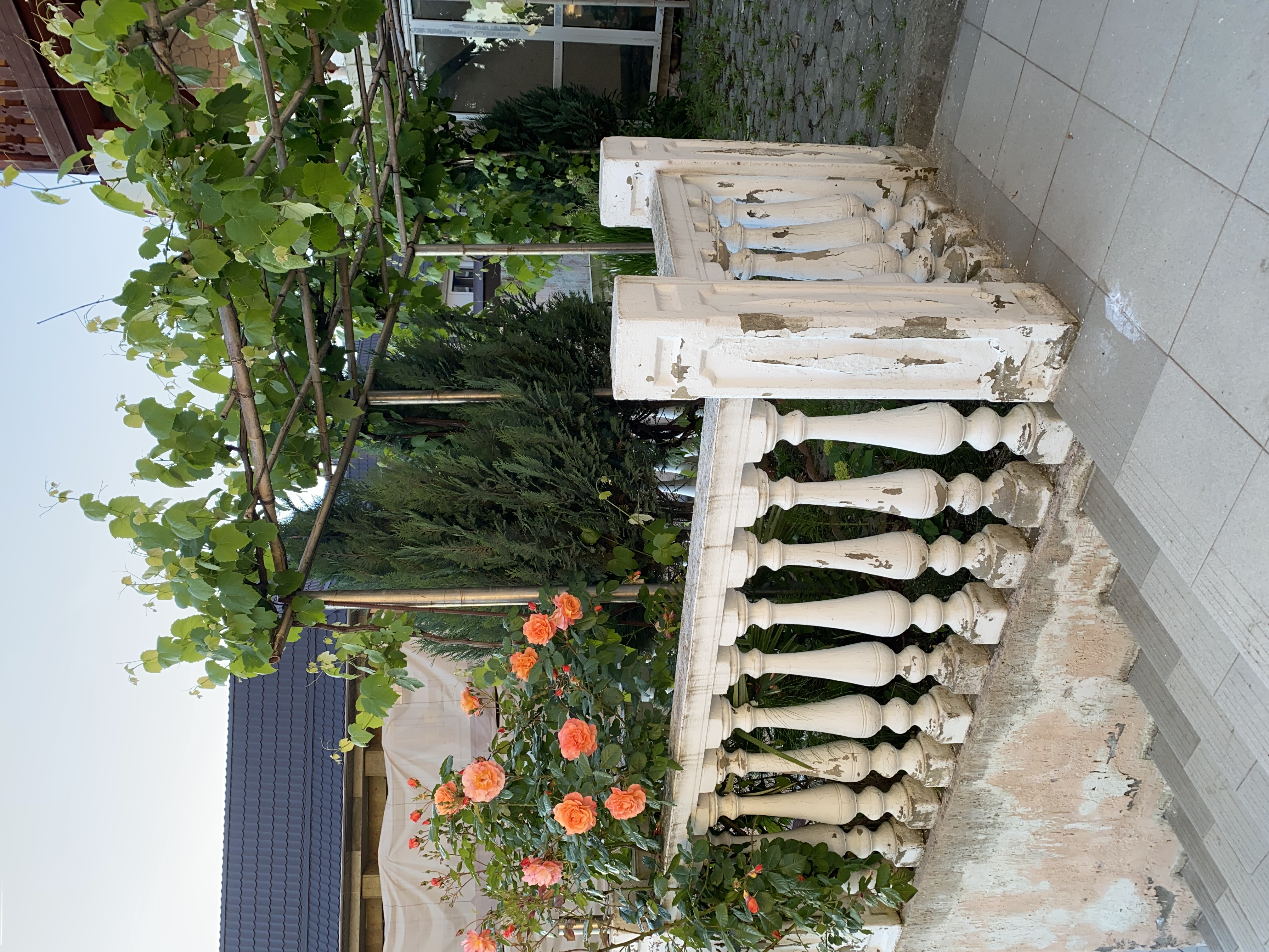 Фото Вологжанка