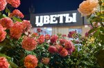 Flowers (Prikubanskiy City administrative district, mikrorayon imeni Petra Metalnikova, Peter Metalnikov Street, 2) ، محل زهور