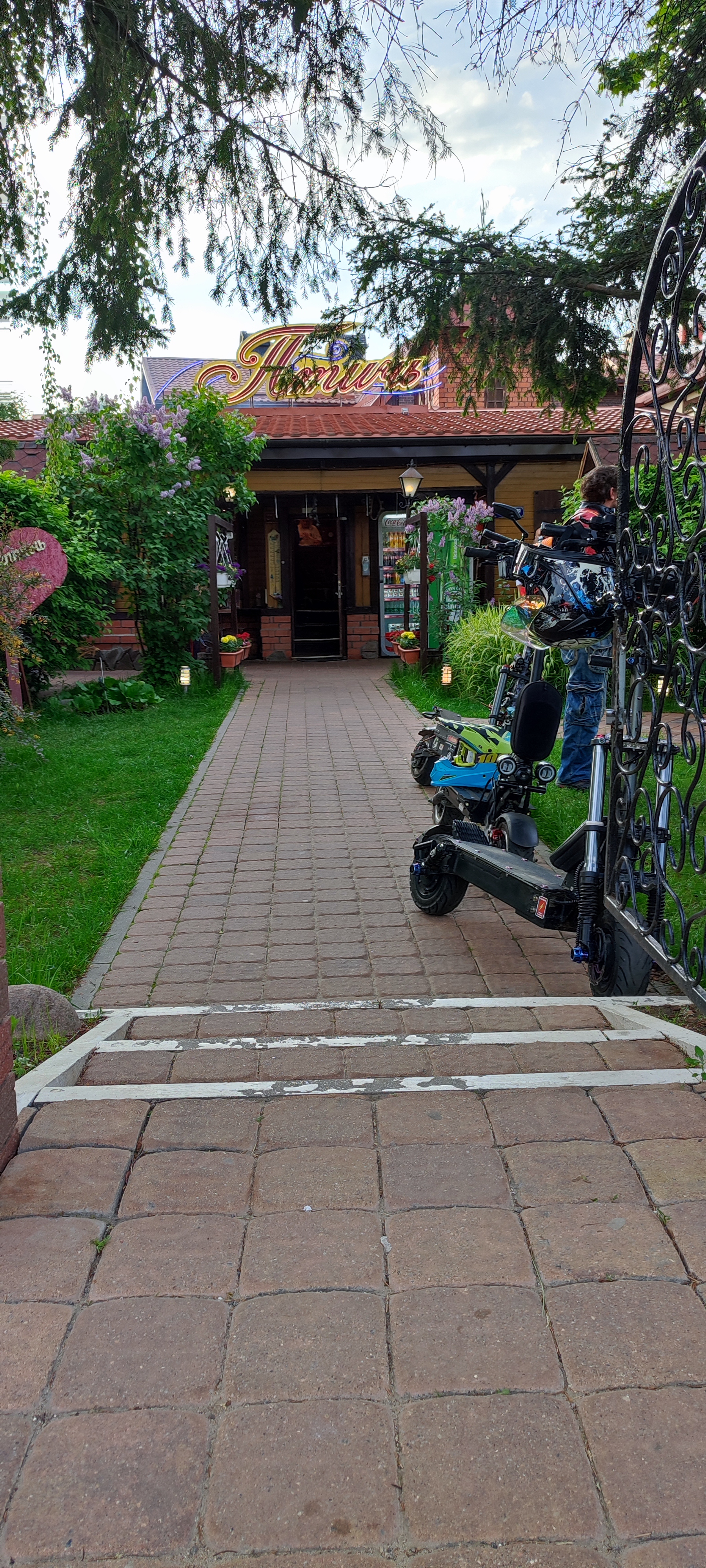 Фото Маёнтак Птичь