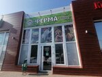 Ферма (posyolok gorodskogo tipa Yablonovskiy, Industrialnaya ulitsa, 81) ، متجر جزارة، ديلي