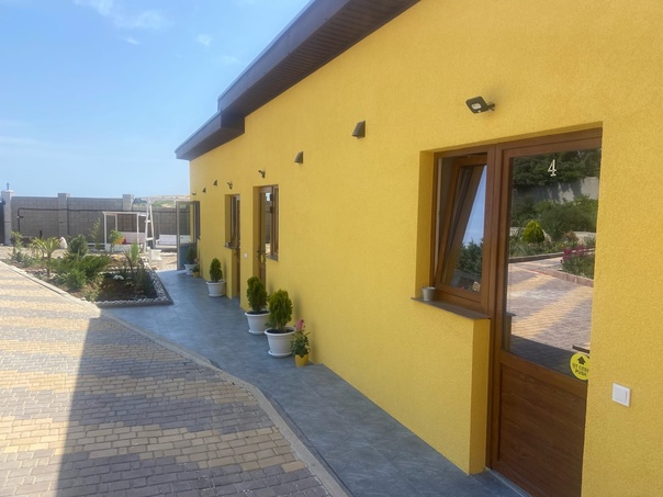 Фото Шафран