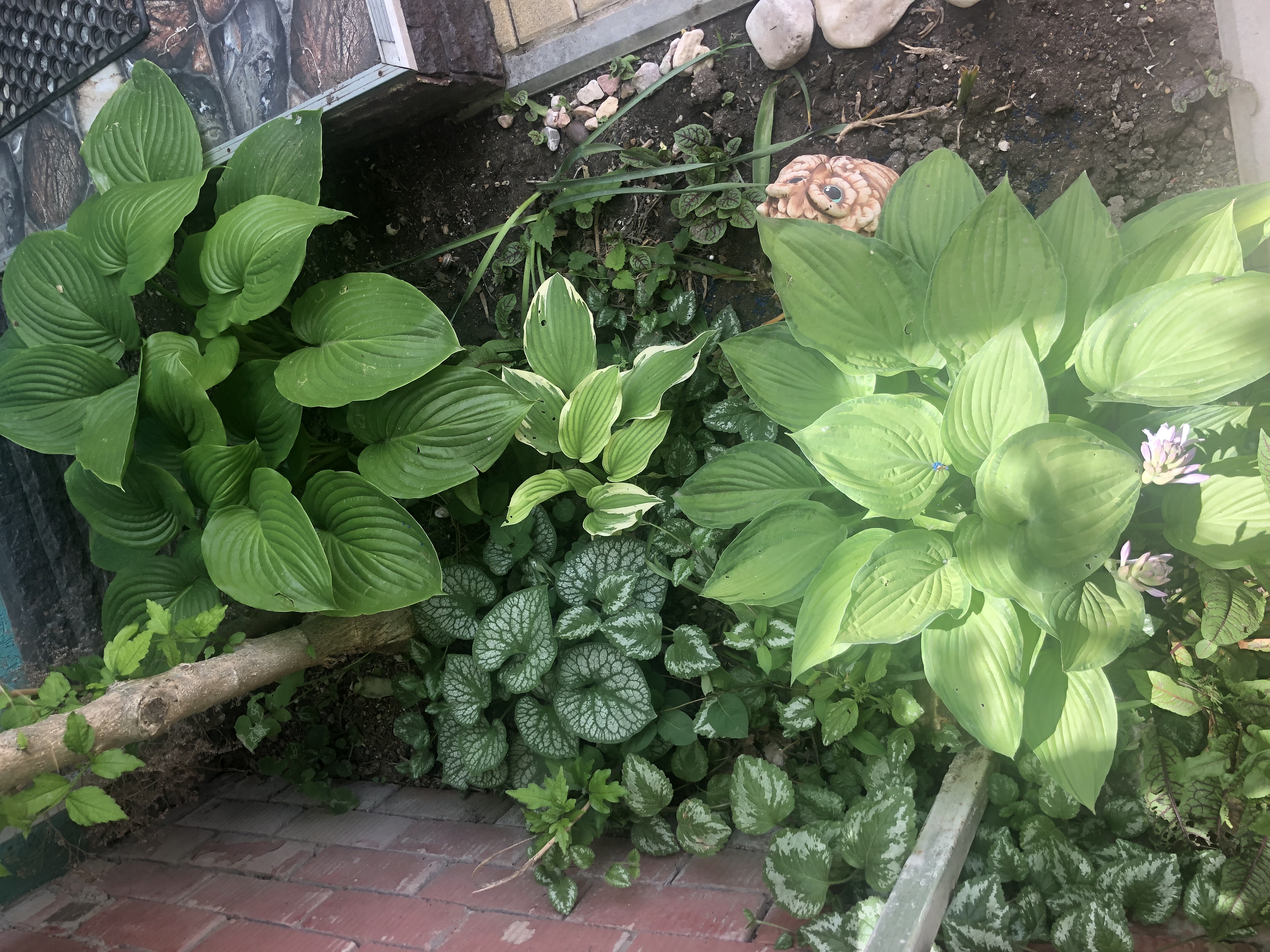 Фото Уютный Дворик