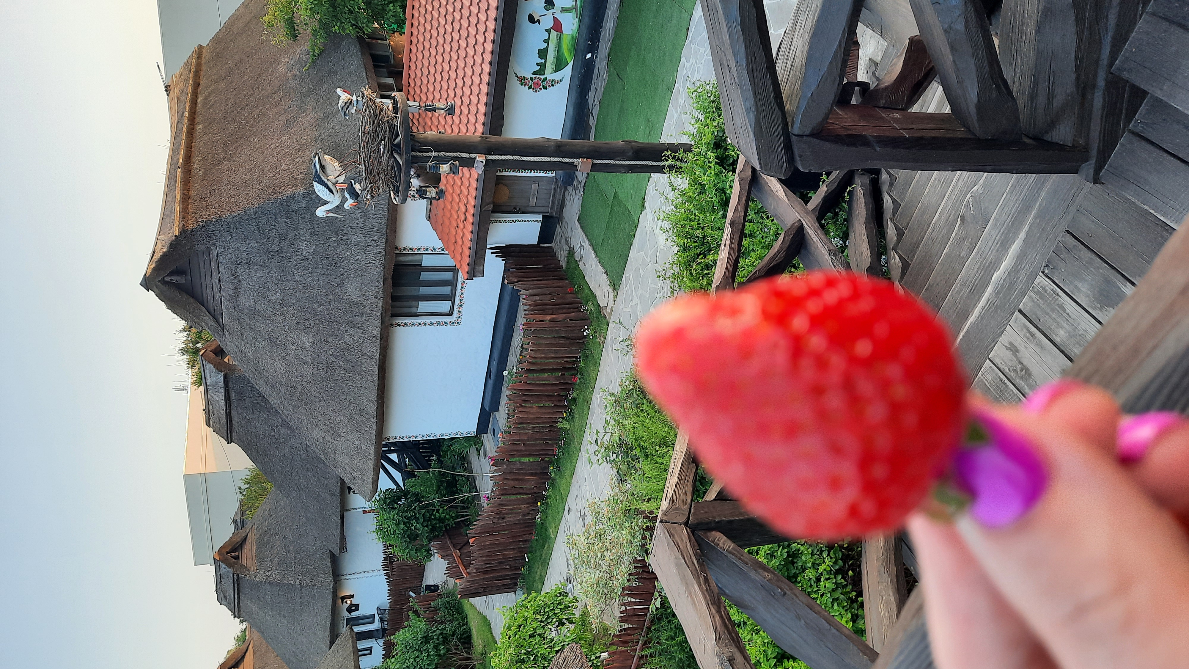 Фото Диканька на Тамани