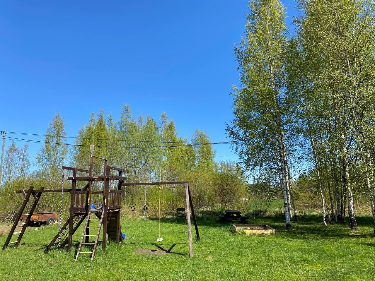 Фото Березки