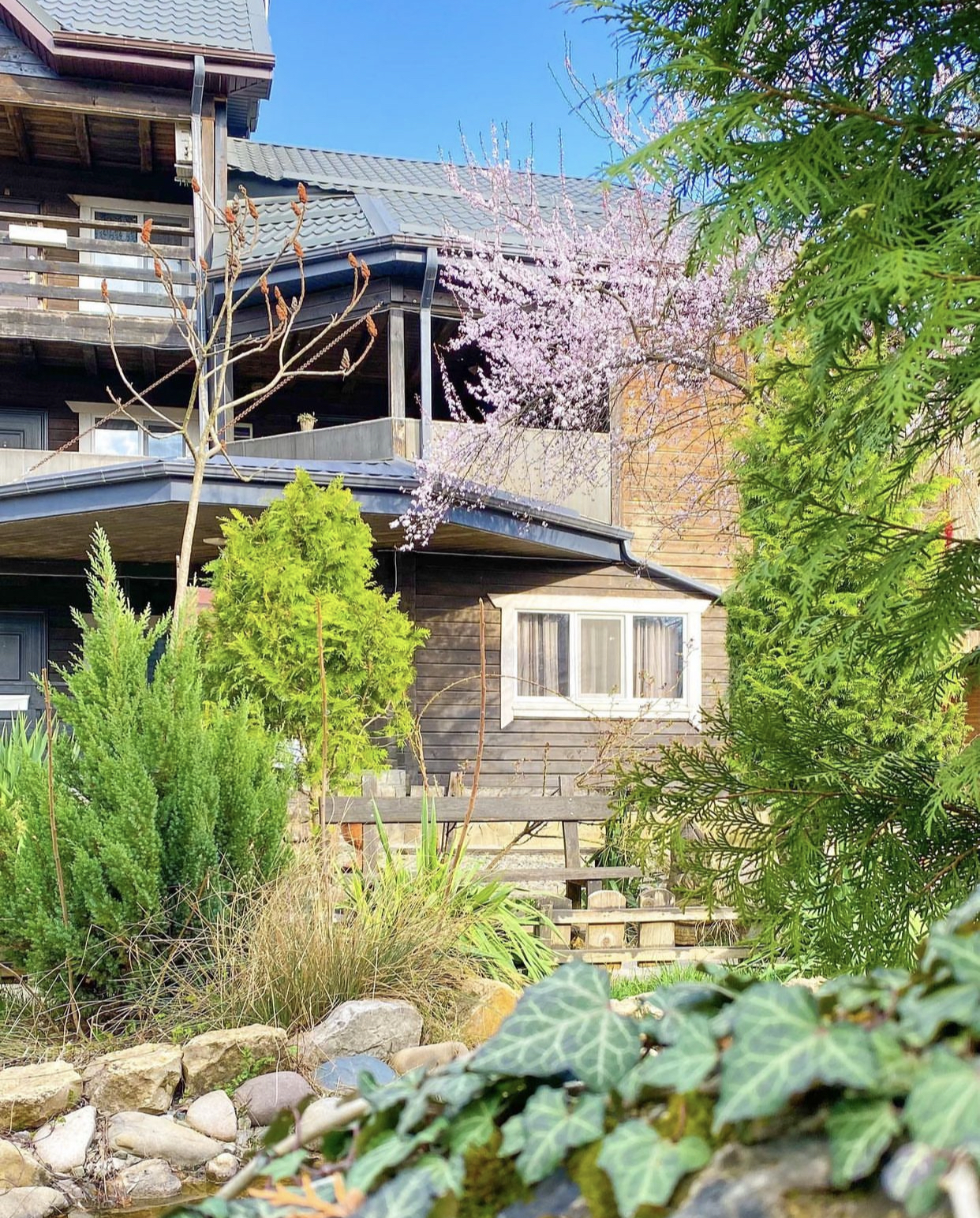 Фото Благодать