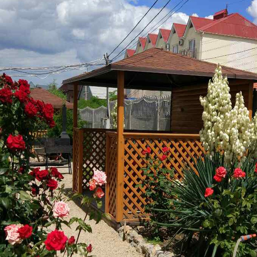 Фото Белый парус