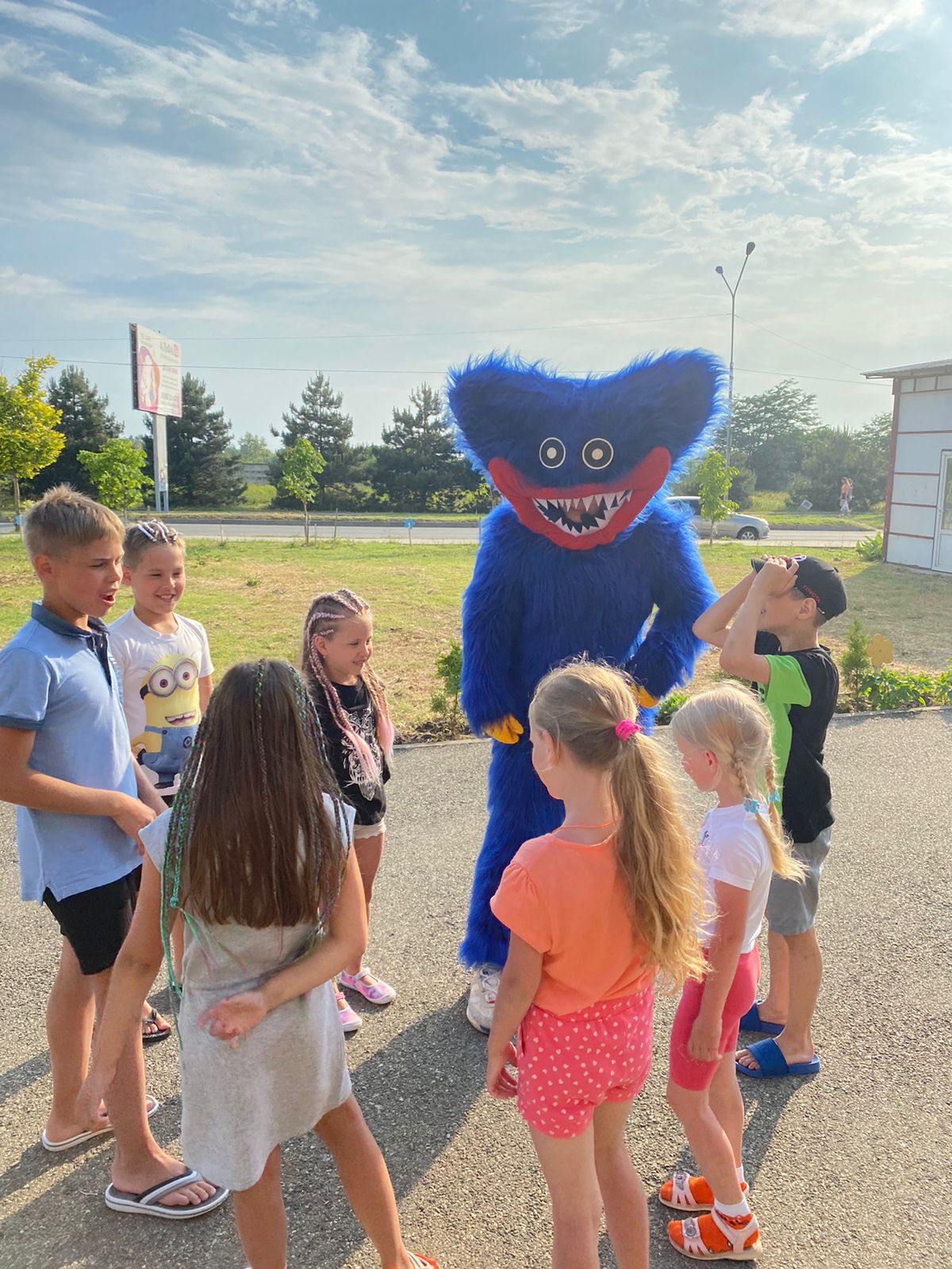 Фото Кассис