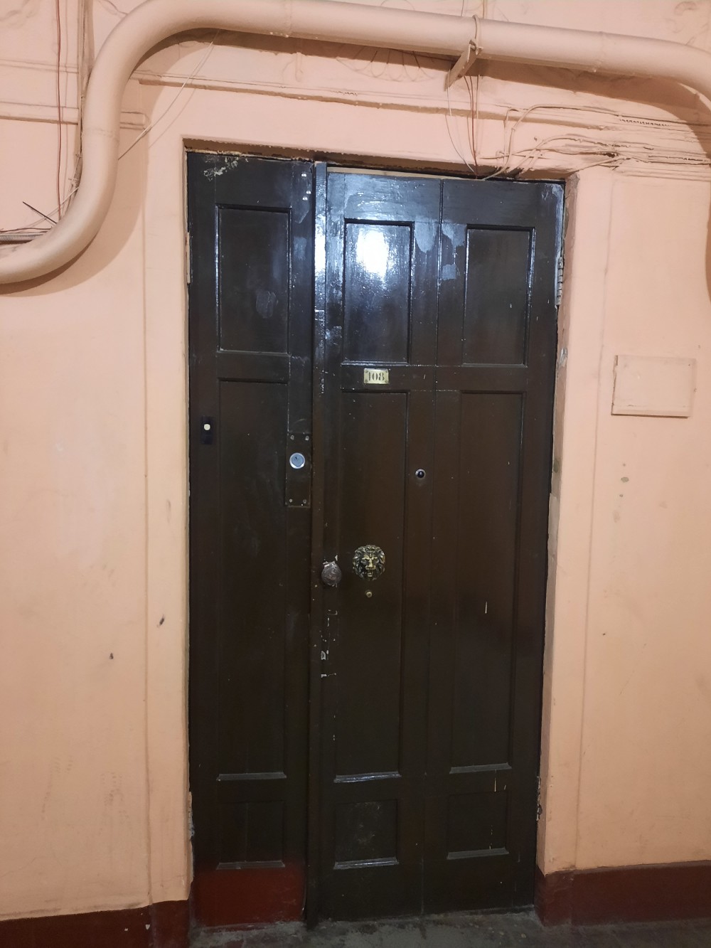 Фото Старый кот