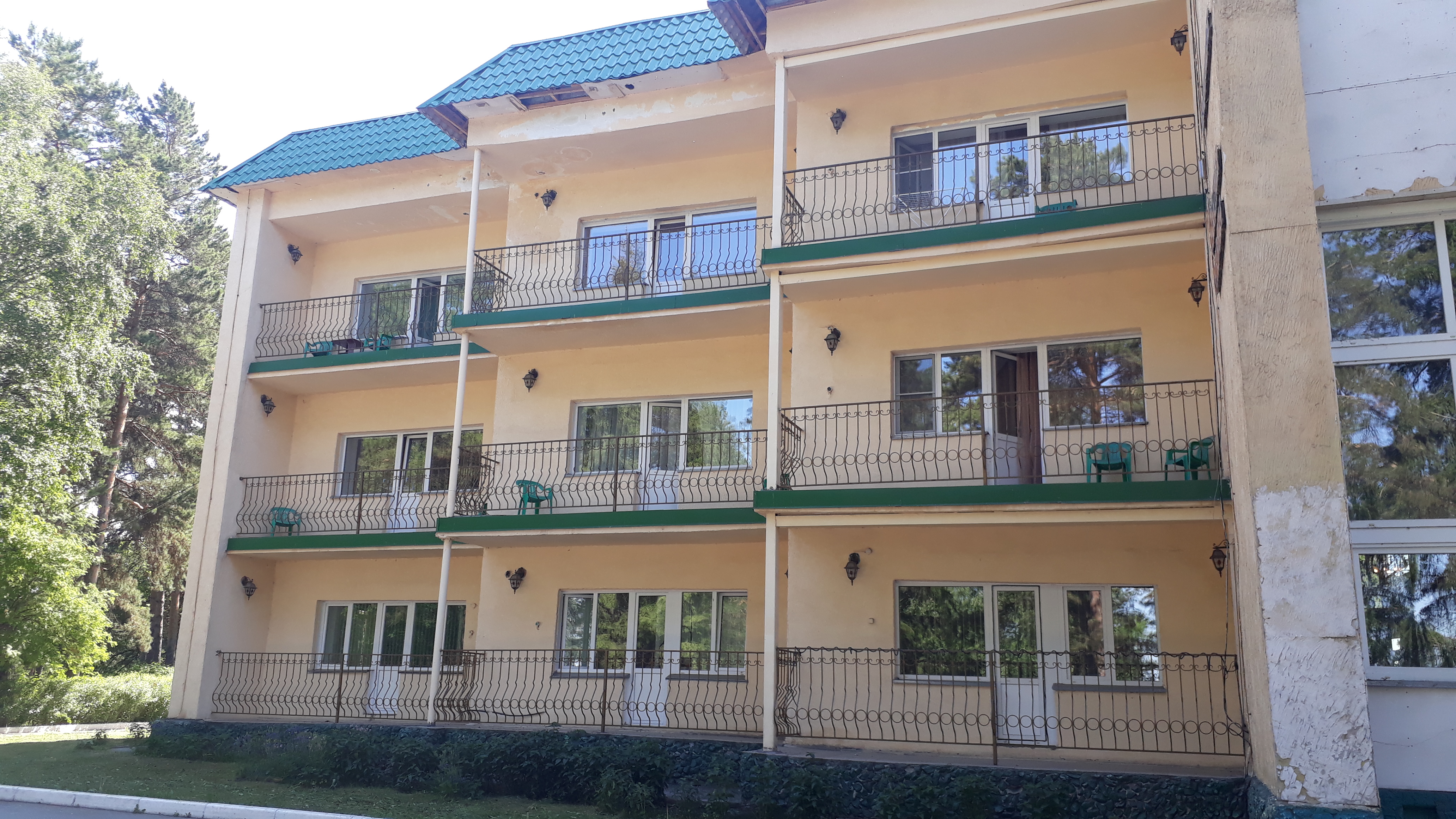 Фото Лесная сказка