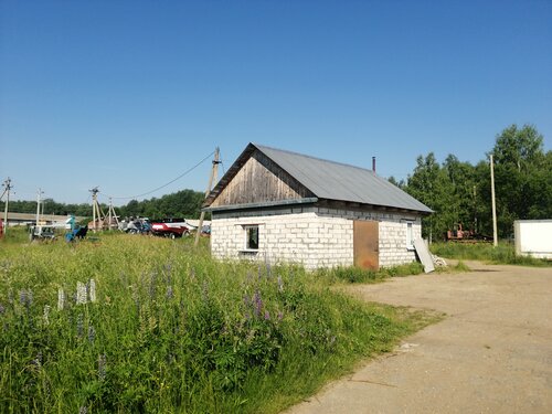 Сельскохозяйственная продукция ИП Гкфх Дронов, Смоленская область, фото