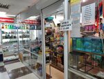 Magazin zootovarov (Vesennyaya ulitsa, 18), tienda de animales