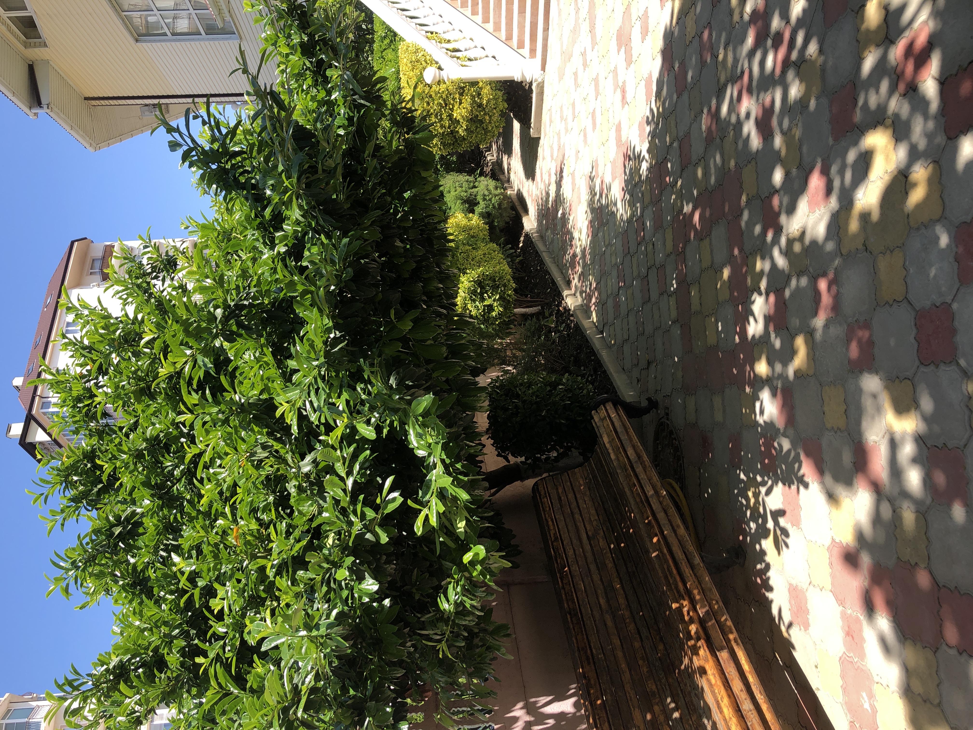 Фото Южная Дача