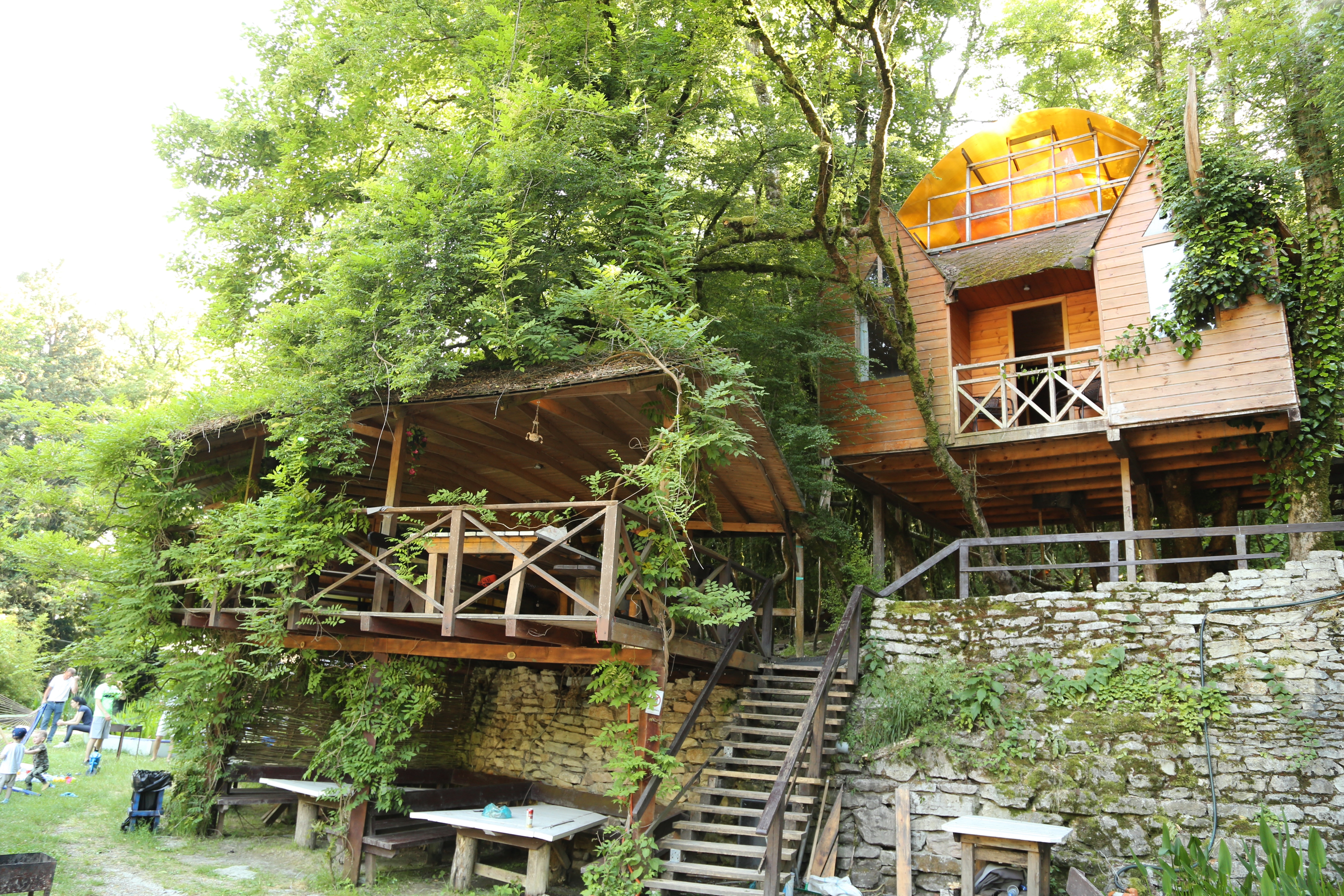 Фото Хоста Рика