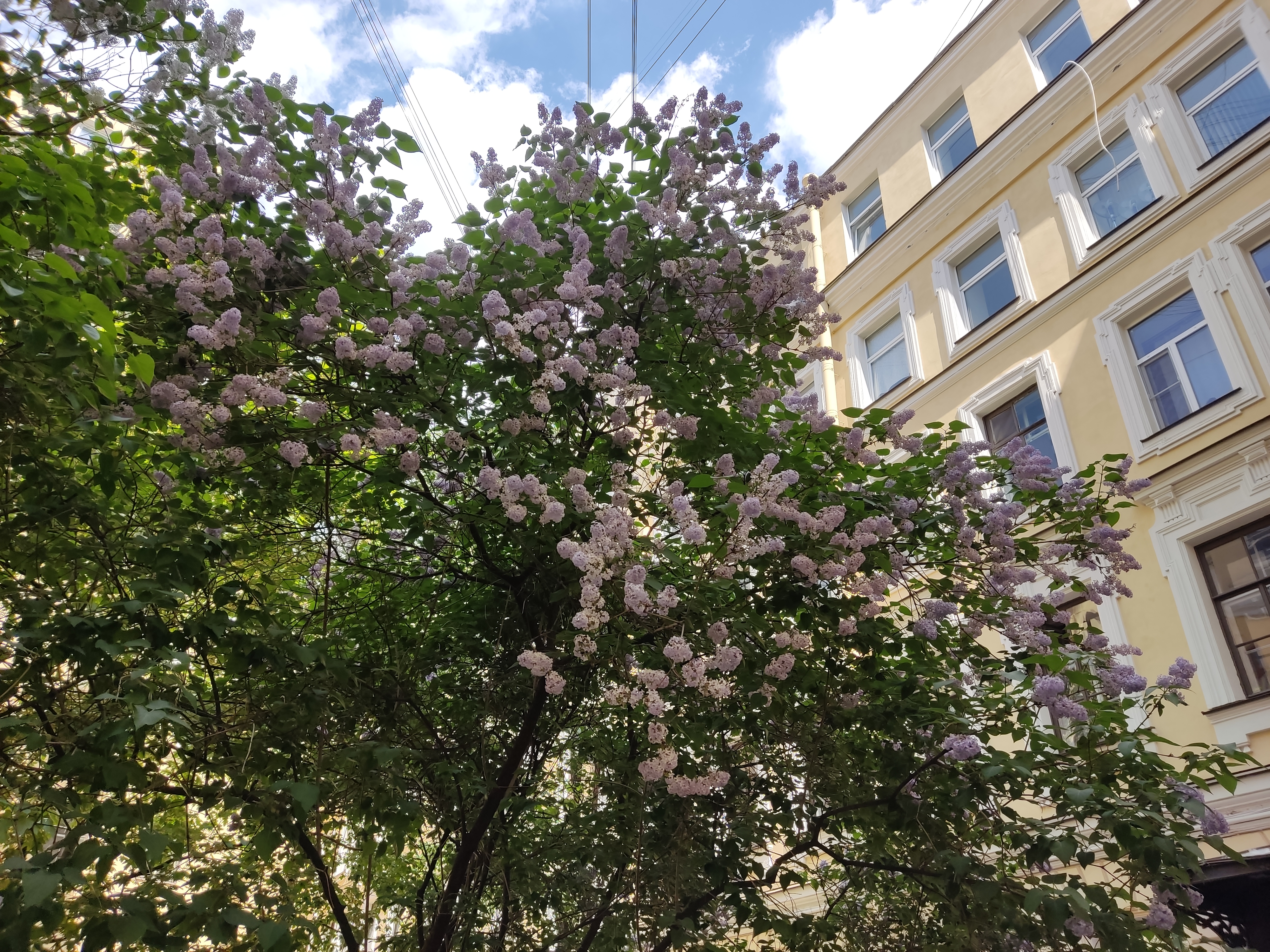 Фото РиверСайд