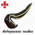 Медицинские пиявки (пер. Островского, 13/16), товары для здоровья в Ростове‑на‑Дону