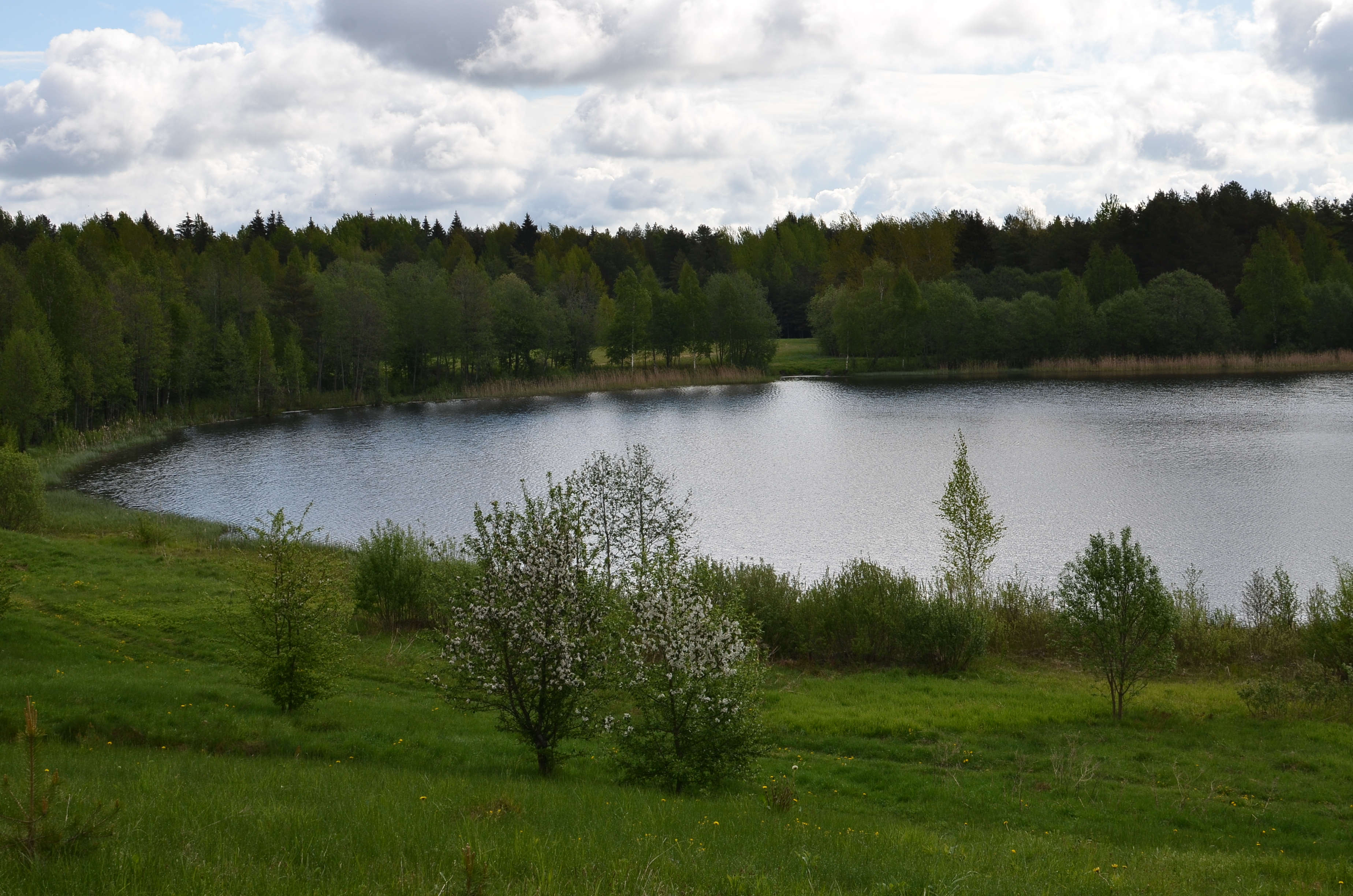 Фото ForrestHome