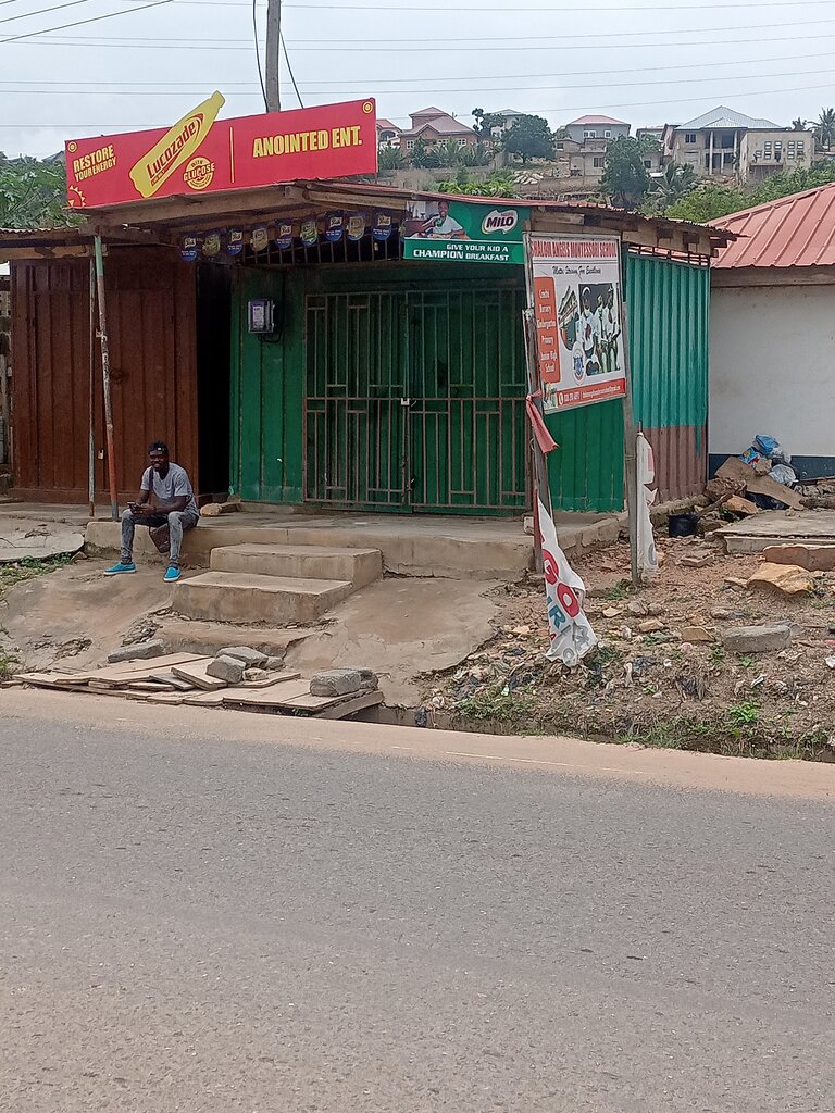 Grocery Annointed enterprise, Earth, photo