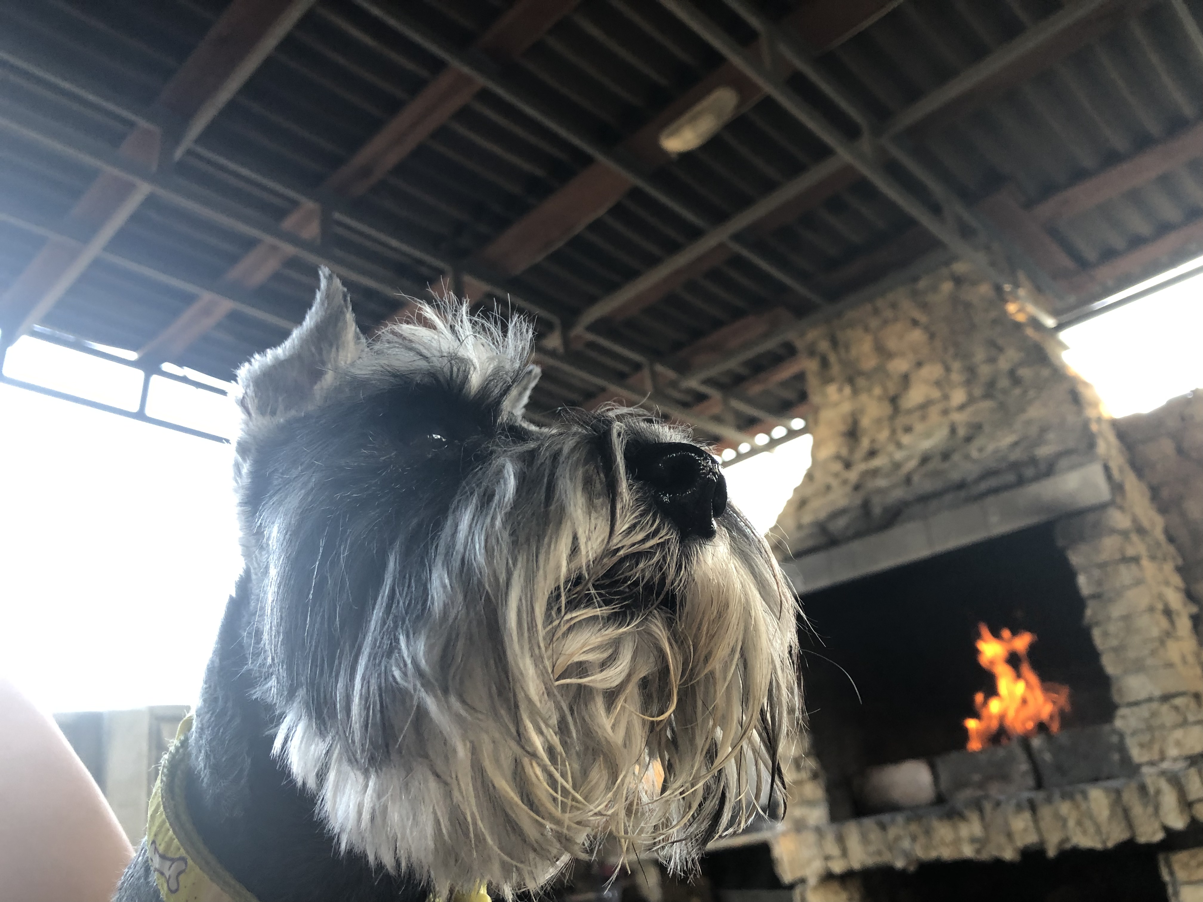 Фото Family House Midas