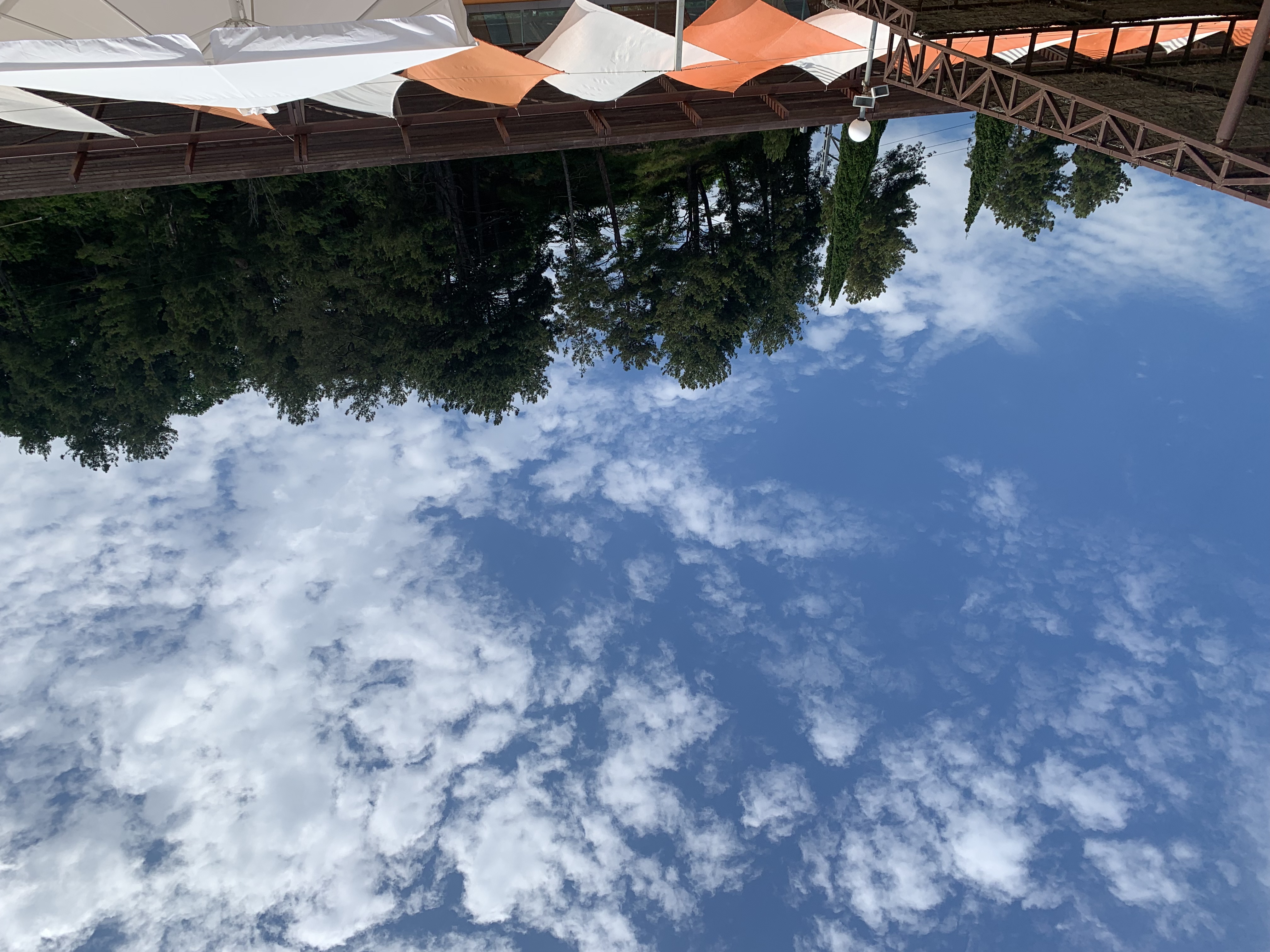 Фото Вилла Бельведер