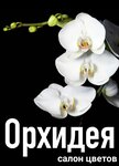Орхидея (ulitsa Lenina, 44), flower shop