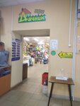 Дачник (Никольский просп., 54), магазин для садоводов в Архангельске