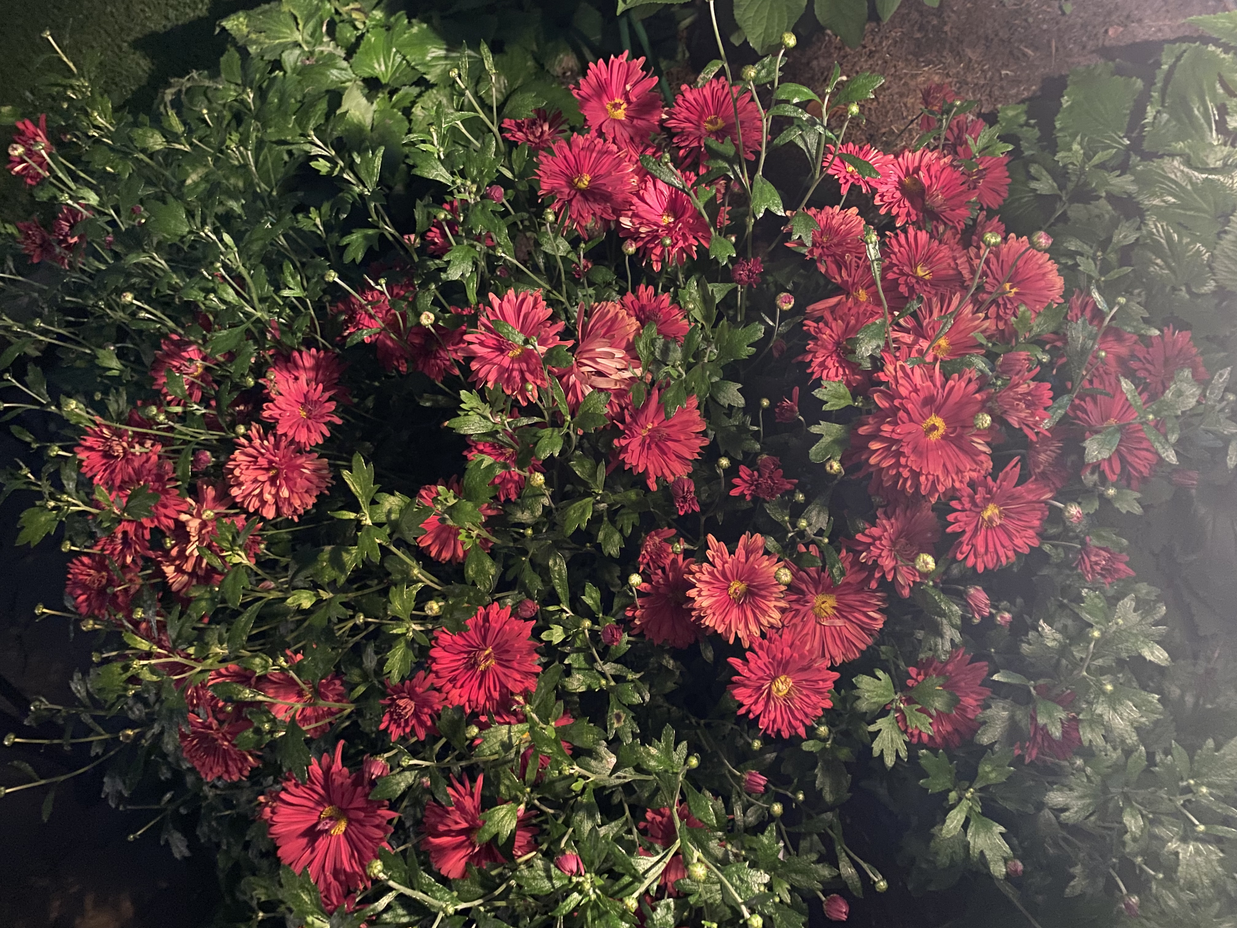 Фото Бегущая по волнам