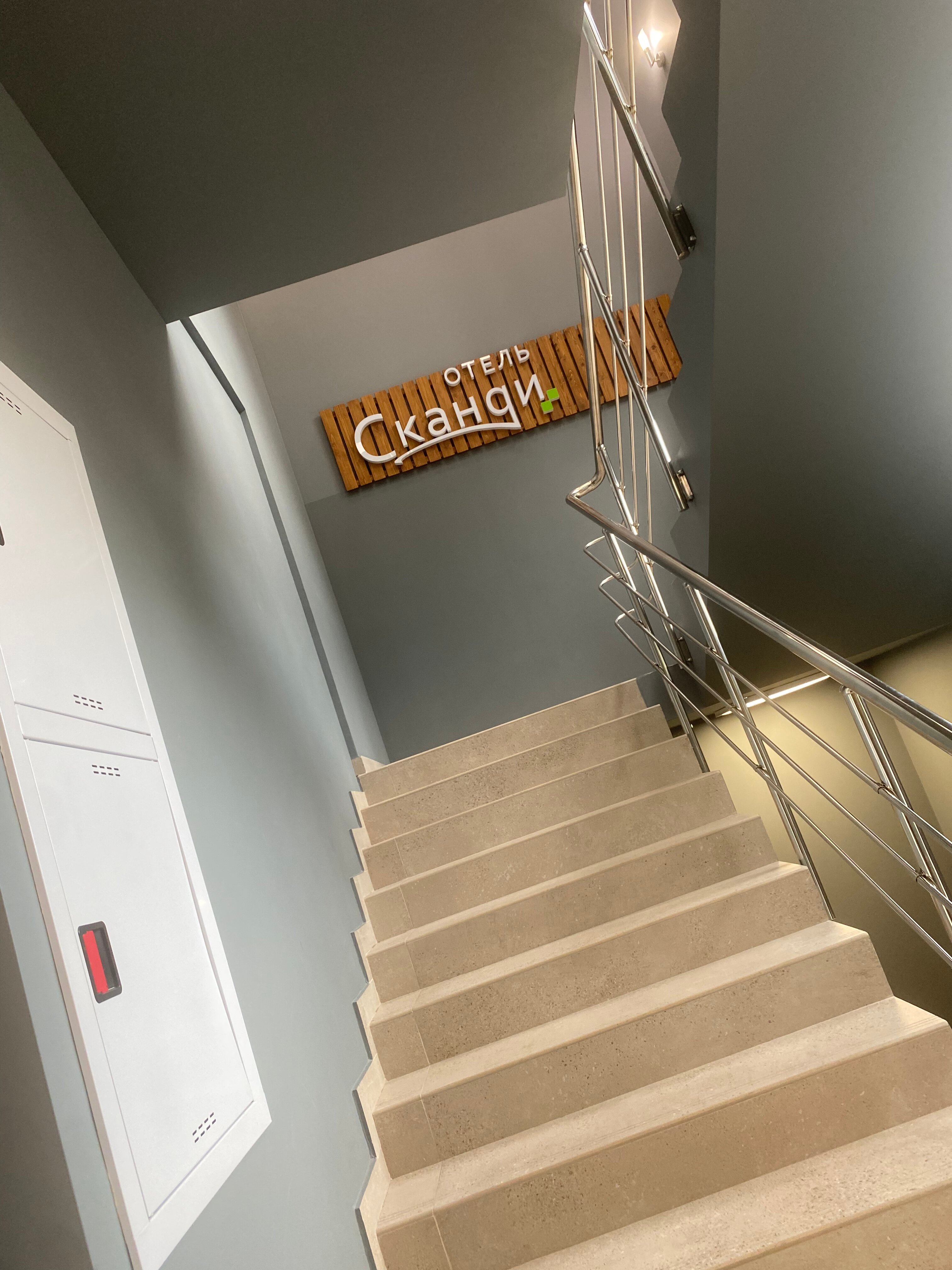 Фото Сканди