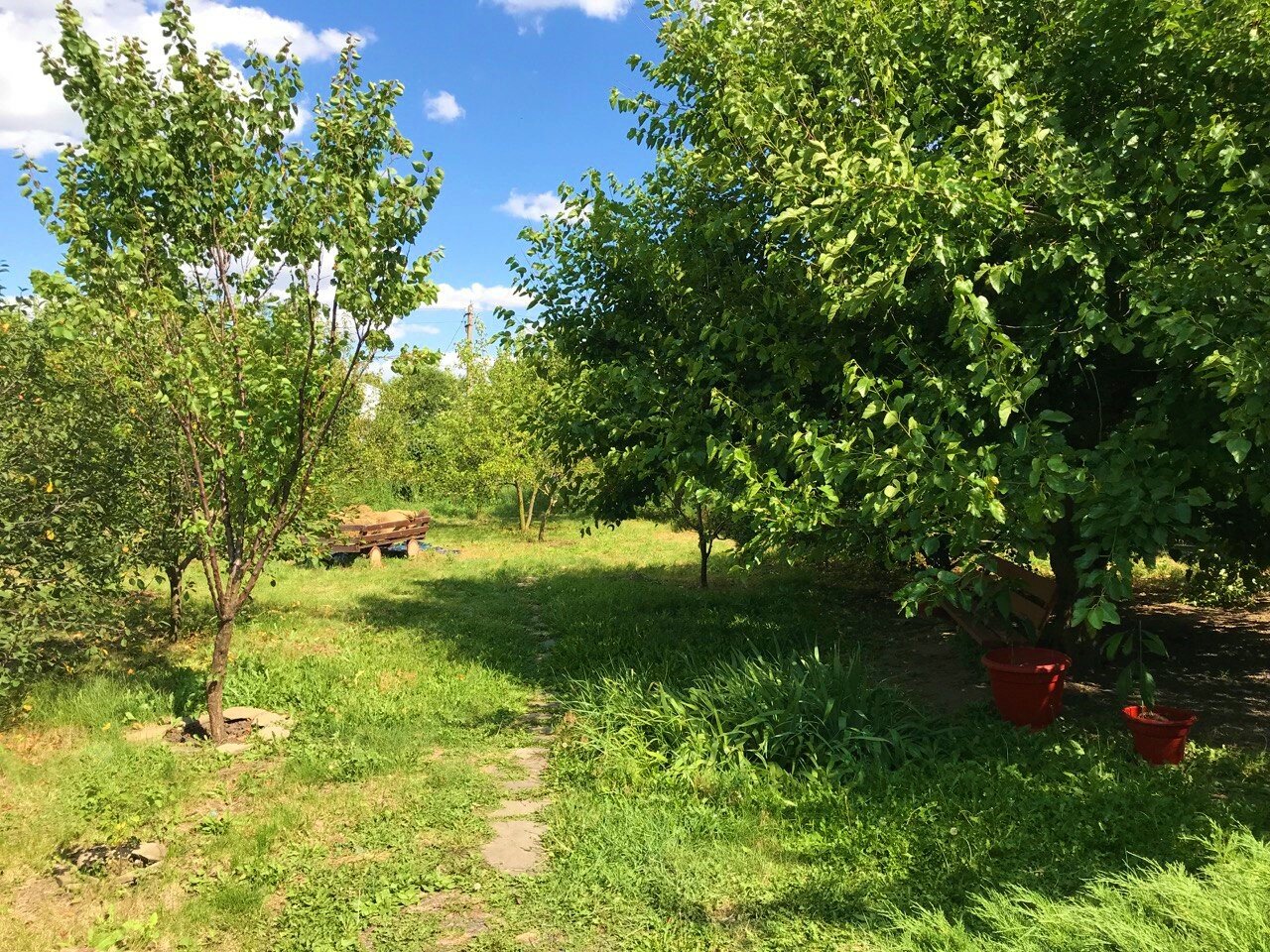 Фото СтепнаяЗдравница