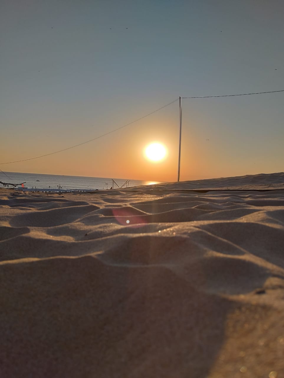 Фото Леонардо