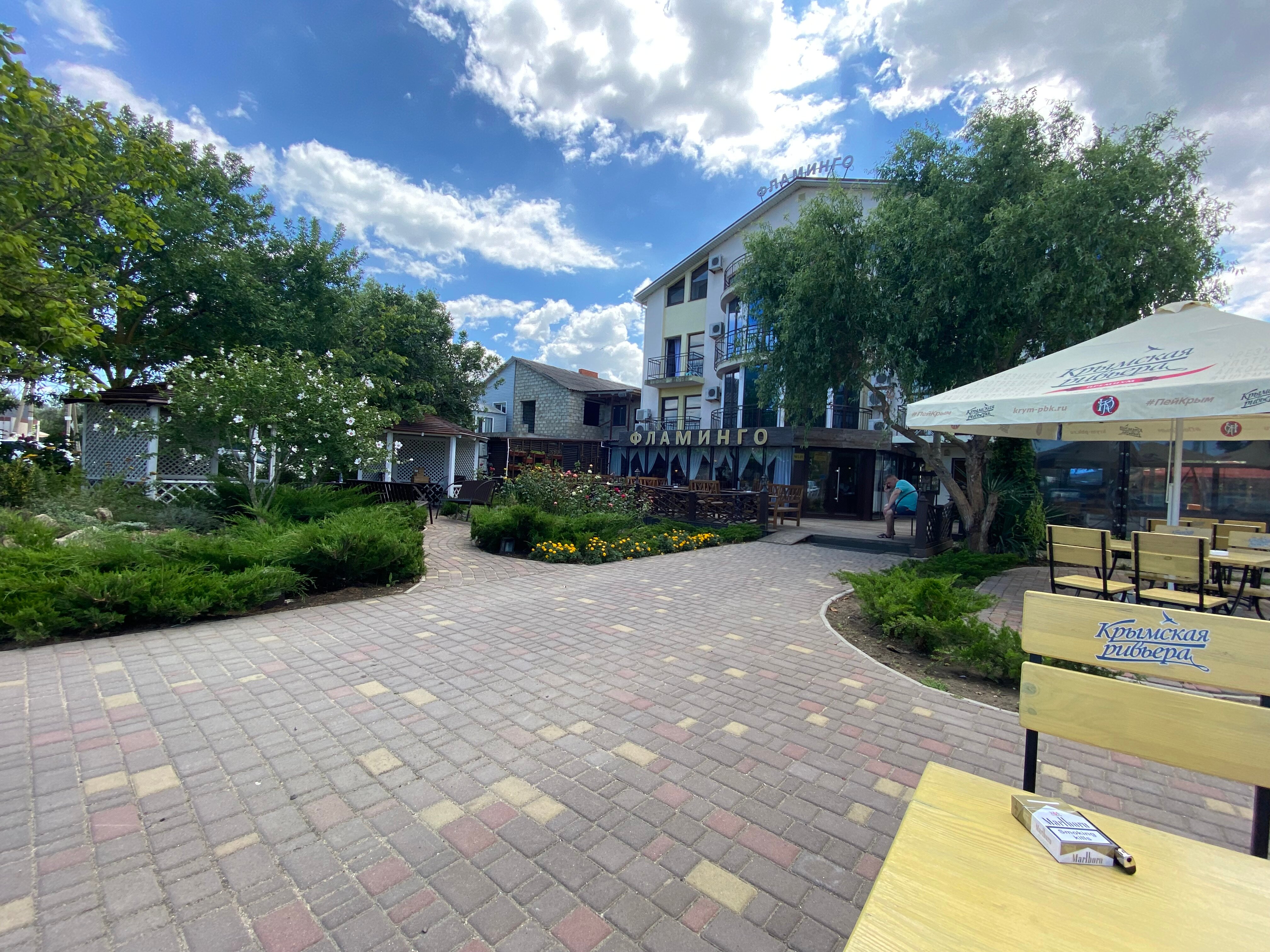 Фото Фламинго