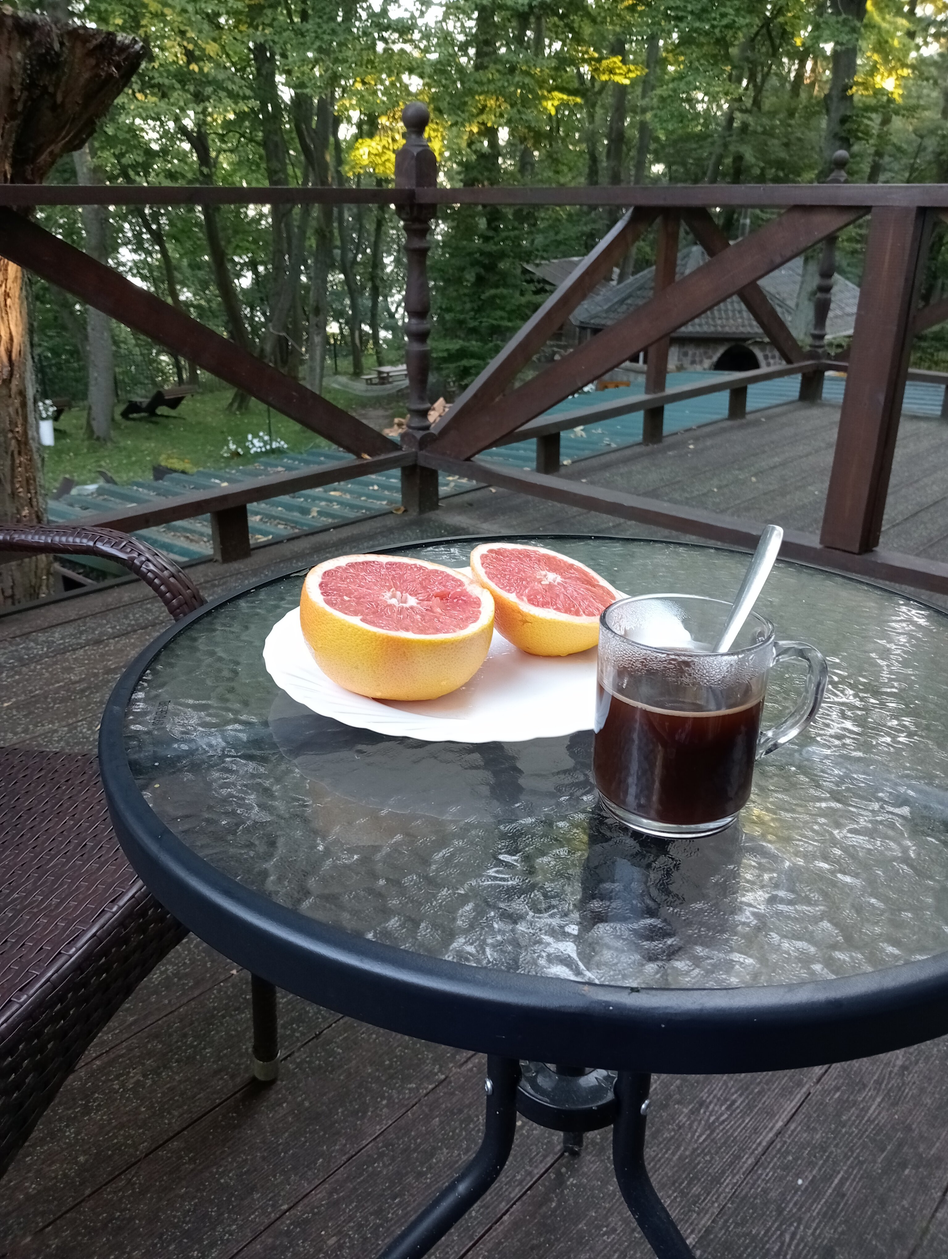 Фото Высокий берег