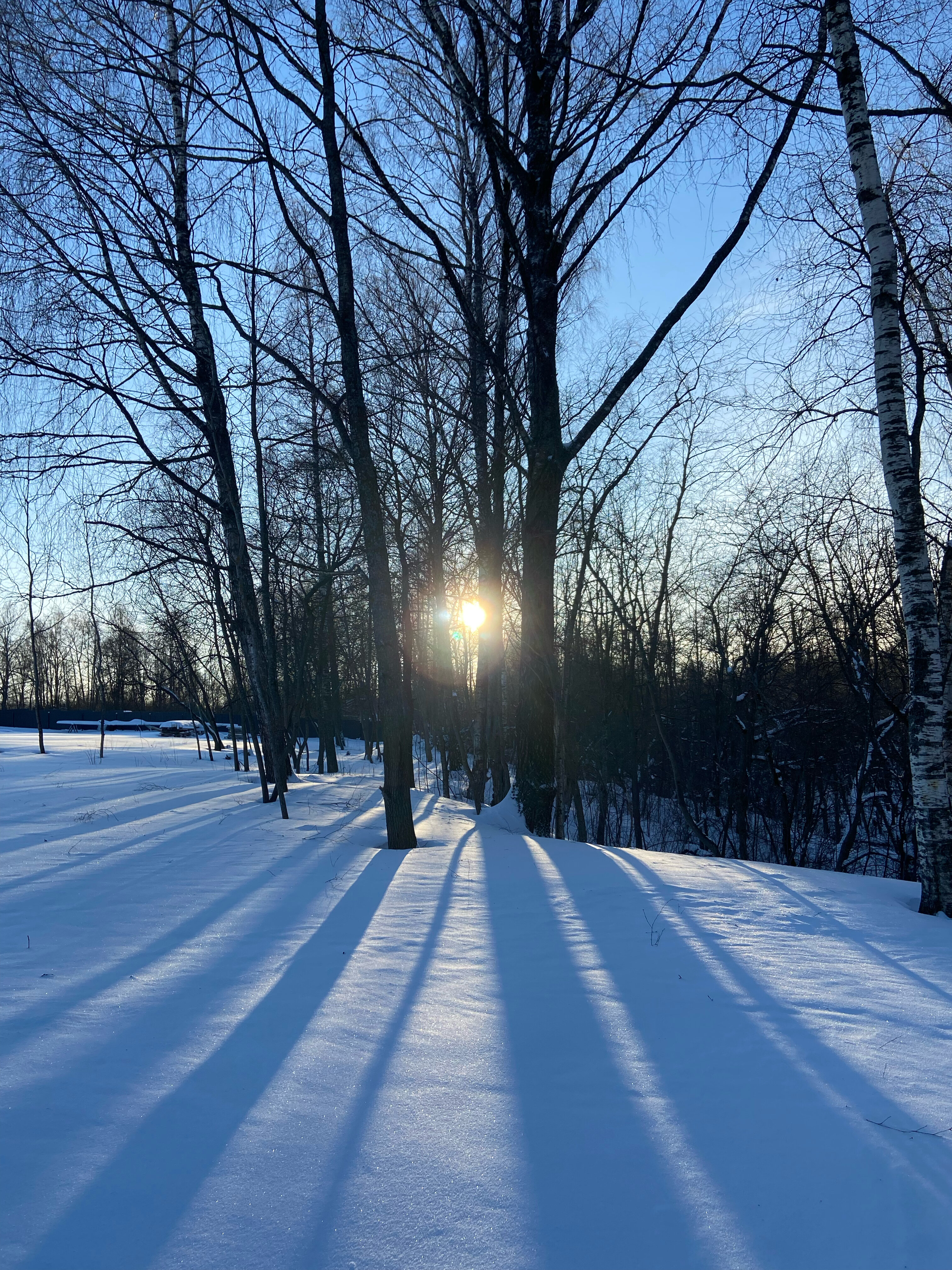 Фото Ильинка лес