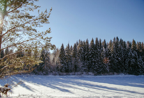 Дом отдыха Каменецкие Купели в Тверской области