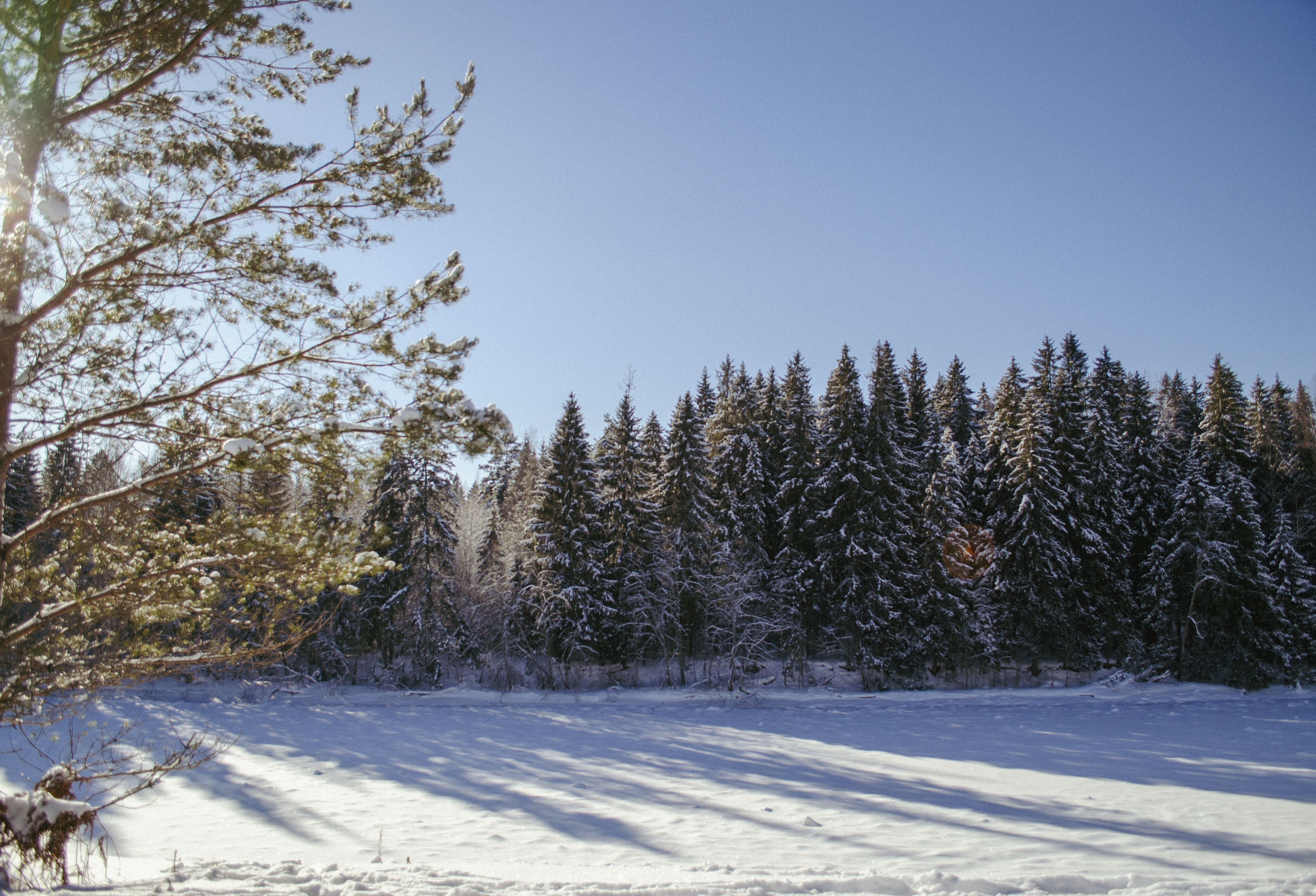 Фото Каменецкие Купели