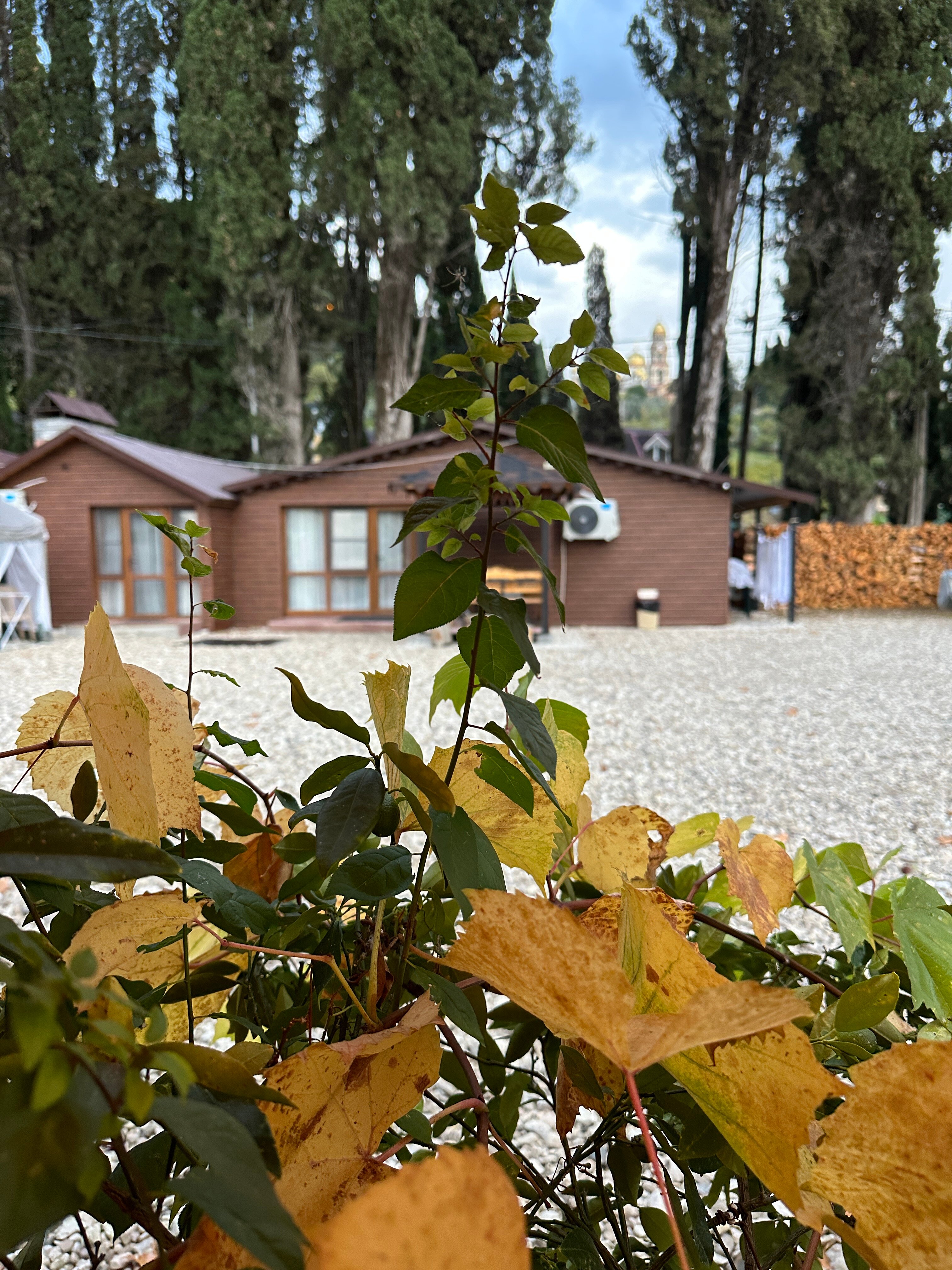 Фото Царское село Анхуа