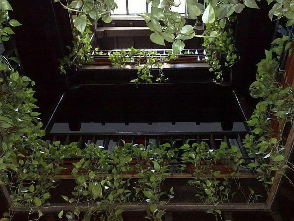 Фото Toc Hostel Granada