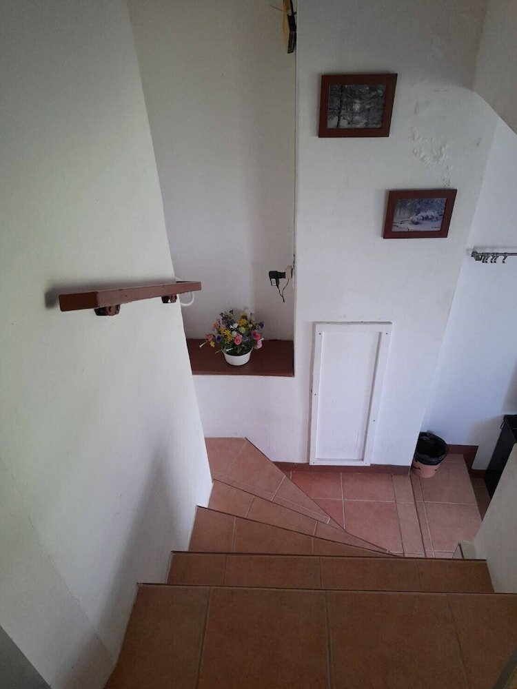 Фото White House