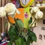 Камелия Цветочный магазин (Oktyabrskaya ulitsa, 88Г), flower shop
