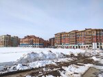 Улица Полковника Глазунова (Moscow Region, Krasnogorsk Urban District, selo Nikolo-Uryupino, ulitsa Polkovnika Glazunova), public transport stop