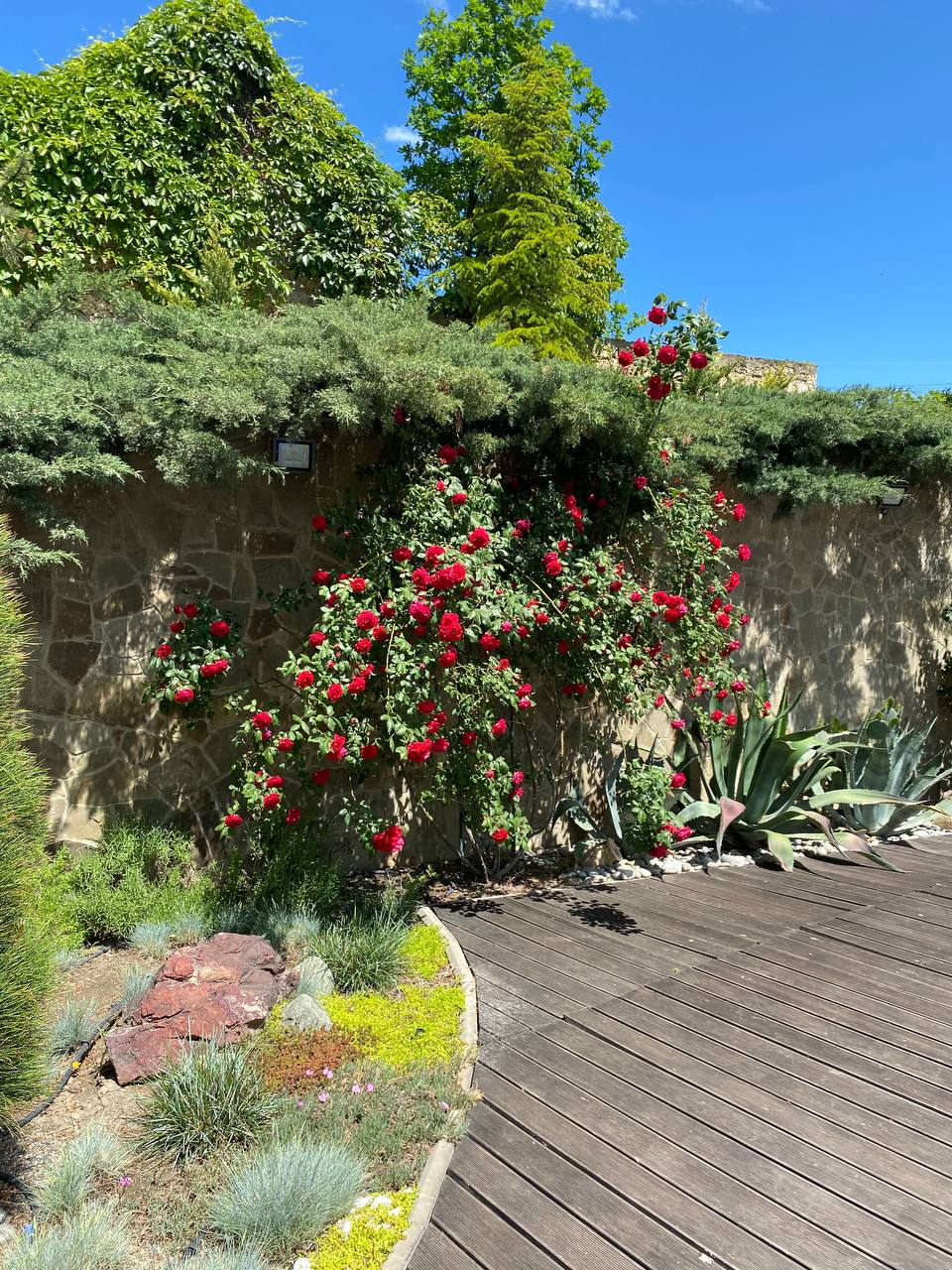 Фото Sineva Del Sol